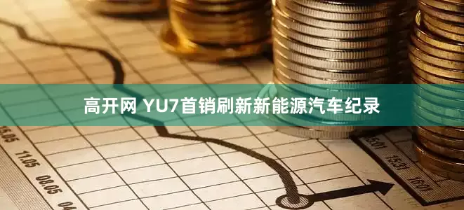 高开网 YU7首销刷新新能源汽车纪录
